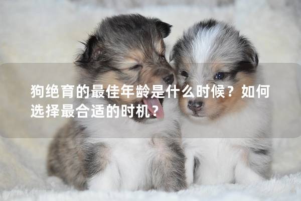 狗絕育的最佳年齡是什么時(shí)候？如何選擇最合適的時(shí)機(jī)？